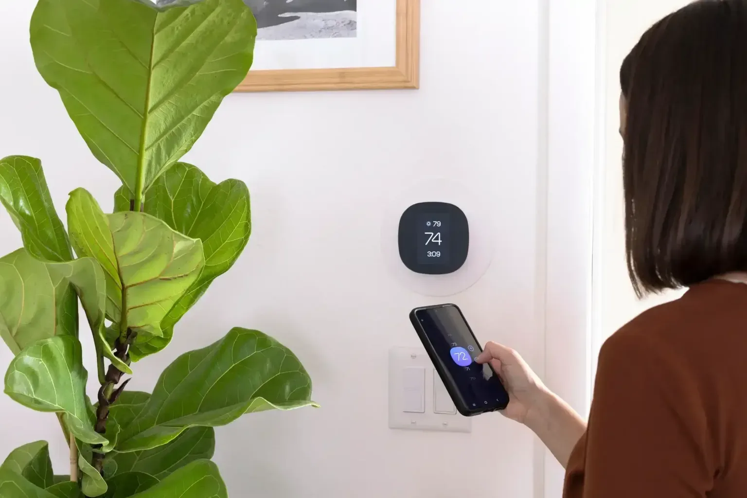Indoor air quality service with plant and diffuser